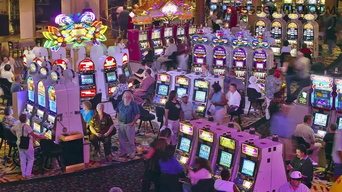 Slots 5555game - Sweet Bonanza e caça-níqueis populares
